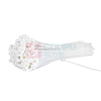 得力工具 扎带 DL506151 5x300mm 100根/包 (白色)