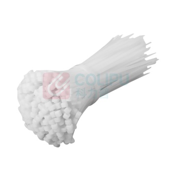 伊莱科(ELECALL) 扎带 20254350 3×100 PVC 线槽配件 3×100mm 1个/个 个