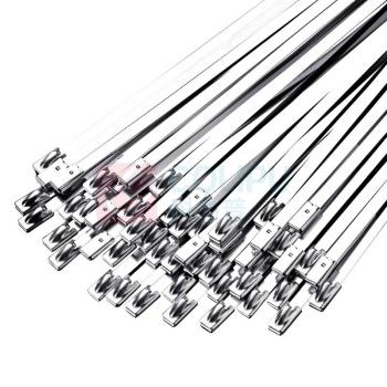 豪思克普 不锈钢扎带 HSKP-BXGZD 4.6x300mm 50条/组