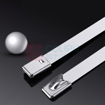 豪思克普 不锈钢扎带 HSKP-BXGZD 4.6x300mm 50条/组