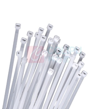 罗德力 园艺自锁式尼龙捆扎带 3.6*150mm 200支 (白色)