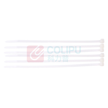 泛适通 自锁式尼龙扎带 ZD5-300 5*300 (白色) 250条/包