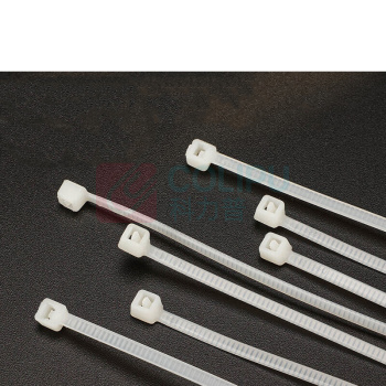 汇君 HJUN 尼龙扎带自锁式塑料卡扣固定强扎线带捆扎带 长300*宽2.8mm zd-4300-250 (白色) 250根/包