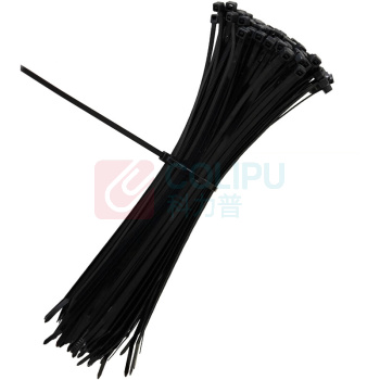 赛时工控 SHSSGK 自锁式尼龙扎带 SKSZ5-1325 3.6*250mm 100支 (黑)