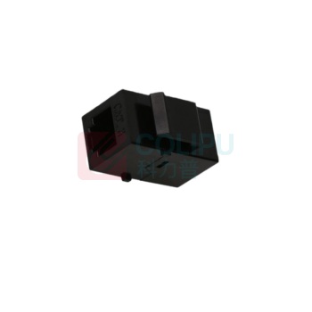 OEM 转换头接口 超五类直通模块(短款) RJ-4 2个