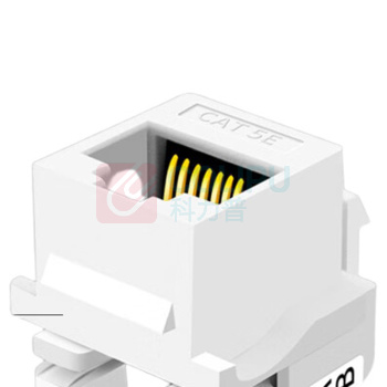 也仁 网络模块 YR-A2277 (白色)