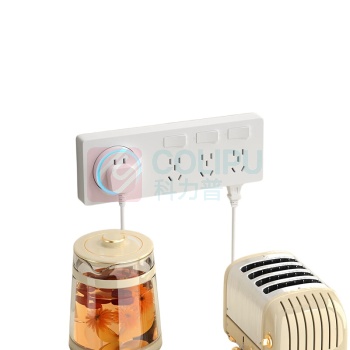 国际电工 多功能插座 左右通用21孔 分控 2500W 250V (白色)