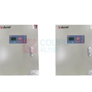 安科瑞 集中应急电源 A-D-0.5KVA-A200L IP65 600*480*200mm 冷轧板喷涂 500W (淡金色)