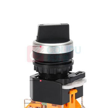 施耐德 Schneider 二档旋转开关 LAY39B-11X21 (黑色)