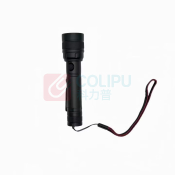 丹琥泰 手电筒 DHT-SDT02 2.5W LED