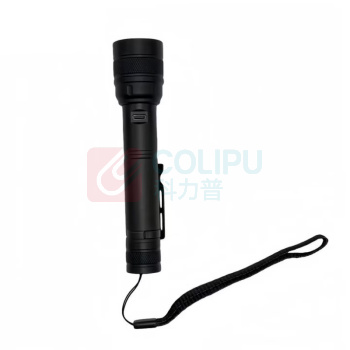 丹琥泰 手电筒 DHT-SDT02 2.5W LED