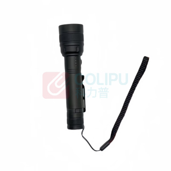 丹琥泰 手电筒 DHT-SDT02 2.5W LED