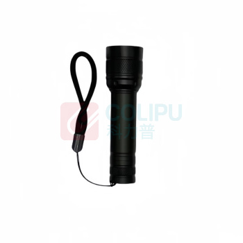 丹琥泰 手电筒 DHT-SDT01 2.8W LED