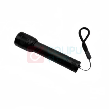 丹琥泰 手电筒 DHT-SDT01 2.8W LED