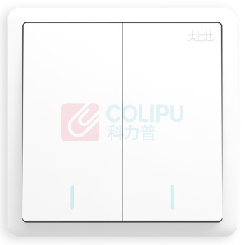 ABB 开关面板 二开单控双开单控开关 86型带荧光两位开关 远致系列 白色 AO102