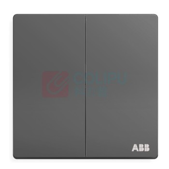 ABB 开关面板 二位单控双开单控开关 轩致系列 灰色 AF122-G