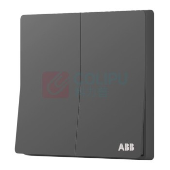 ABB 开关面板 二位单控双开单控开关 轩致系列 灰色 AF122-G