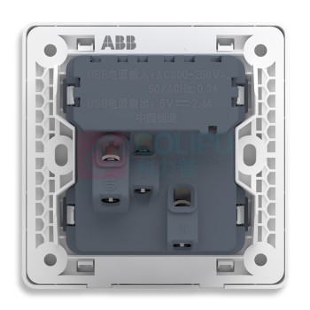 ABB 开关插座面板 五孔插座带双USB充电二三极电源插座 远致系列 白色 AO293