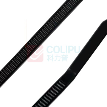 Panduit 扎线带(黑色) PLT2S-M300(长188mm,宽4.8mm)