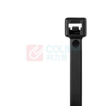 泛达 尼龙扎带 S6-40-C0 黑色 100根/包