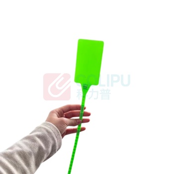 番鑫工贸 一次性大号塑料标牌扎带 58*95mm (绿色)