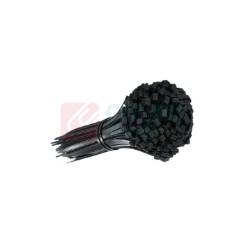 卓越拾光 自锁式聚酰胺扎带 3×250mm 250根/包 (黑色) QB/T4494