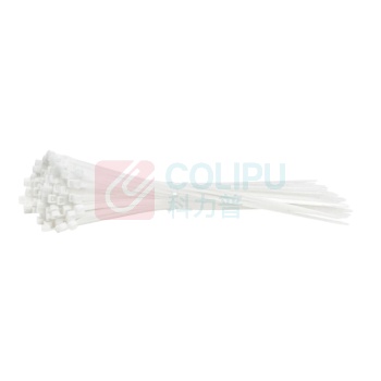 得力工具 扎带 DL506141 4x200mm (白色) 100根
