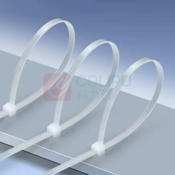 品固 自锁式聚酰胺扎带 普通型单扣5x300mm QBT4494
