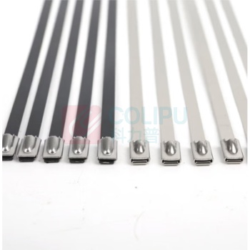 长虹 CHANGHONG 扎带 SST-300 304 100根/包