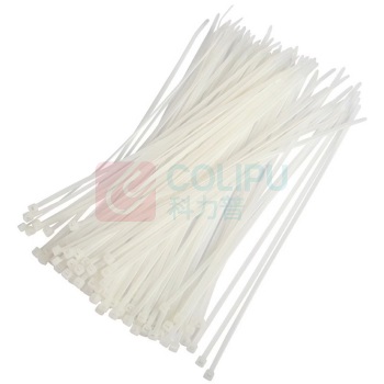 长虹 CHANGHONG B级自锁式尼龙扎带 CHS-4*250 200条/包 (黑色)