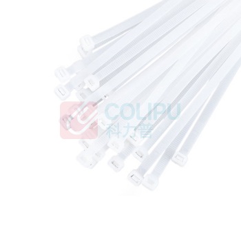 信霆 自锁式尼龙扎带 ZD4X200 4*200mm (白色) 250条/包