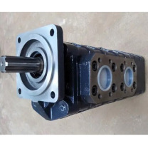 VOITH 四联泵 IPH/H/H/V-125/125/80/3.5 331