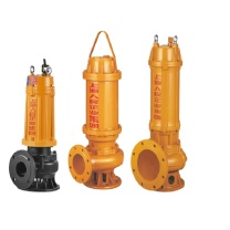 人民水泵 无堵塞污水泵 WQ25-24-3KW 380V 2.5寸