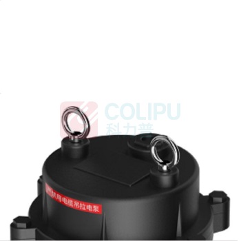 名磊 MINGLEI 污水泵 380V 2.2KW 2.5寸 (黑色)