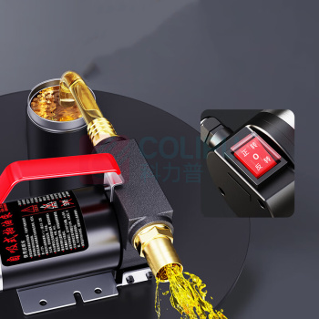 欧莱德 OULAIDE 电动抽油泵12V24V通用220V伏柴油泵自吸泵加油机抽油神器打油泵 220V插电款+6M管