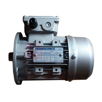 博林豪特 电机泵 AP9OBBR/450 GA SK215 19-095966,3.6KW. 6.2A 