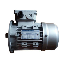 博林豪特 电机泵 AP9OBBR/450 GA SK215 19-095966,3.6KW. 6.2A 