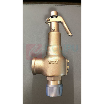 永一 安全阀 A27W-10T DN25,整定压力0.7MPa 通体全铜