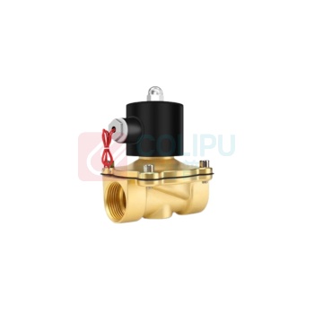 伊莱科(ELECALL) 电磁阀 2W-250-25 220V 配有定制防水线圈 线长定制90cm,铜制