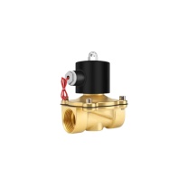 伊莱科(ELECALL) 电磁阀 2W-250-25 220V 配有定制防水线圈 线长定制90cm,铜制