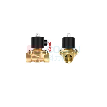 伊莱科(ELECALL) 电磁阀 2W-250-25 220V 配有定制防水线圈 线长定制90cm,铜制