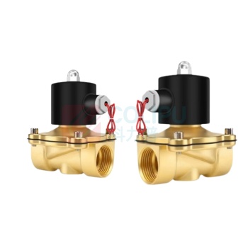 伊莱科(ELECALL) 电磁阀 2W-250-25 220V 配有定制防水线圈 线长定制90cm,铜制
