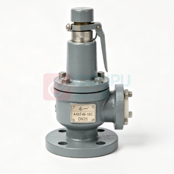 永一 衬氟安全阀 A41F46-16C-DN25 整定压力1.0MPa