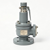 永一 衬氟安全阀 A41F46-16C-DN25 整定压力1.0MPa