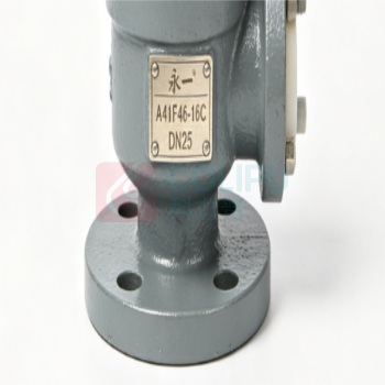 永一 衬氟安全阀 A41F46-16C-DN25 整定压力1.0MPa