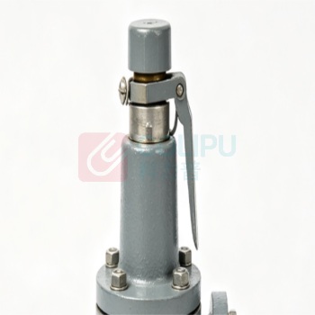 永一 衬氟安全阀 A41F46-16C-DN25 整定压力1.0MPa