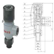 永一 安全阀 A21W-25P-DN20 整定压力2.1MPa