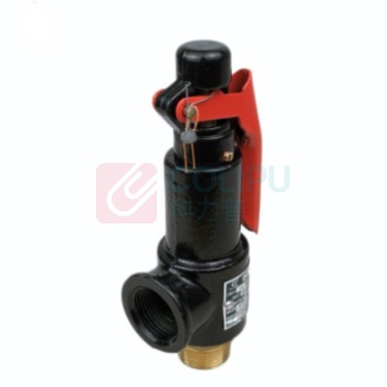 永一 安全阀 A27W-10T-DN25 下单提供整定压力