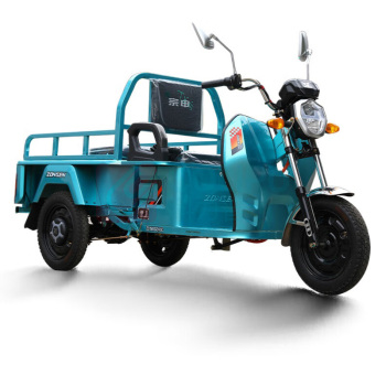 宗申 电动三轮车 100WHM1P 单排中配