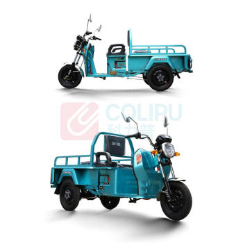 宗申 电动三轮车 100WHM1P 单排中配